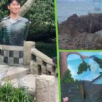 China ‘invisible man’ painter blends into surroundings with chameleon body colouring to promote love of nature