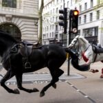 Escaped army horses run loose in central London