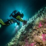 How scientists and divers safeguard marine wildlife of Galapagos Islands, Italy and Arctic Ocean