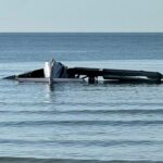 Thai Police Plane Crashes Into the Sea, Killing All 6 on Board