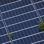 US clears way for stiff tariffs on Southeast Asian solar imports