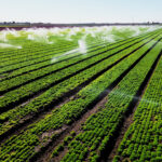 Pentagon, USDA Announce Collaboration to Bolster Agricultural Security