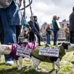 As US-Israel war on Iran rages on, millions angry with Trump expected to fill US streets