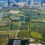 Measures to streamline Northern Metropolis land-use procedures unveiled