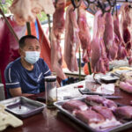 Feed Cost Surge From Iran War, Plunging Hog Prices Deepen Challenges for China’s Pig Farmers