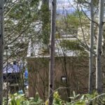 Zoo in Japan’s Hokkaido delays reopening over search for body in incinerator