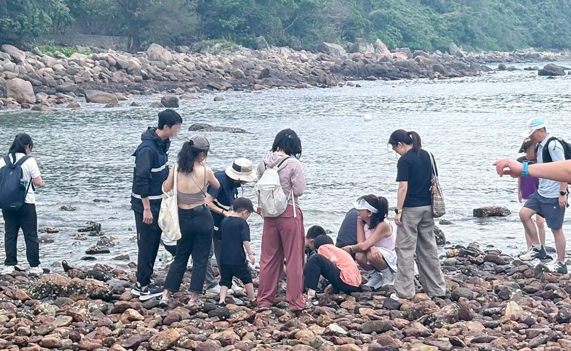 Visitors warned over removing crabs, shells from Hong Kong’s Sharp Island
