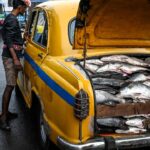 Fish and vegetarianism major flashpoints in India’s West Bengal election