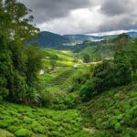 ‘River of mud’ in Malaysia’s Cameron Highlands prompts accountability calls