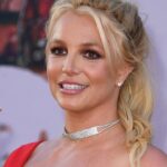 US singer Britney Spears checks into rehab following arrest: media
