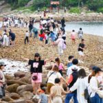 ‘Never knew there were corals,’ visitors say after learning about Sharp Island’s reefs