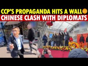 CCP’s Propaganda Hits a Wall, Chinese in Netherlands Fight Diplomats, Call Xi a Terrorist!