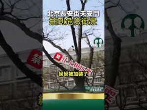 Why They’re Installing Spikes on Trees in Tiananmen 👀 #chinanews #beijing #viral
