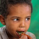 Yemen family eats tree leaves as aid dies out
