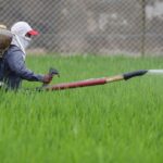 Asia must unite to avert an Iran war food crisis