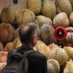 Durian Express? New Southeast Asia rail service cuts fruit prices in China