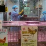 Hong Kong poultry stall suspended for disinfection after bird flu trace detected