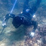 Proposed Sai Kung marine park to cover most coral reefs: Hong Kong authorities