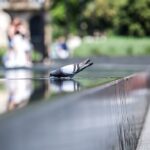 Heatwave grips Eastern Europe after Germany weather breaks records