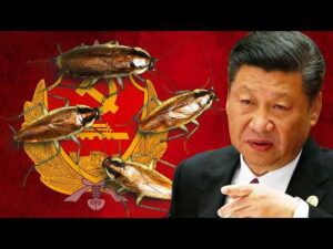 China Has a Cockroach Problem and Can’t Stop It
