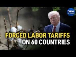 | China in Focus