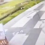 Typhoon Noul: Shenzhen girl, 6, blown away by gale, runs back to safety