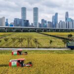 China, EU pushing ahead on joint research despite trade tensions