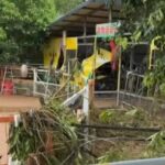 Lions dead, zebras on the run as floodwaters devastate zoo in southern China
