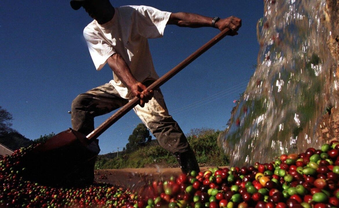 Trump’s tariff war pushes Brazil’s trade towards China as US share hits record low