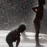 German deaths rise 32% during record June heatwave, data shows