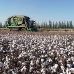 US adds 43 Chinese companies to Uygur forced labour blacklist