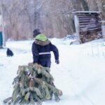 Christmas tree troubles, new Pacific missile launch: 7 US-China relations reads