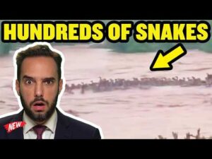 The Only Thing That Made The Floods Worse Were the Snakes