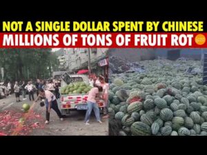 Not A Single Dollar Spent By Chinese — Millions Of Tons Of Fruit Rot, 1 Bottle Buys 3 Watermelons