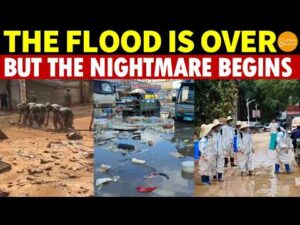The Flood Is Over, But The Nightmare Begins: Mass Livestock Deaths, A Deadlier Outbreak Looms