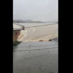 Chinese Port City Submerged as Floods Bring Dam Breach and Escaped Cobras
