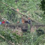 Germany storm leaves 1 dead, 3 seriously injured