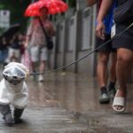 Hong Kong set for heavy showers, squally thunderstorms over next few days