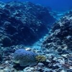 Beijing issues ecological report to solidify South China Sea claims amid US row