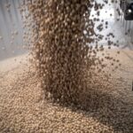 Fearing deflated China demand, US soybean growers pivot to new buyers and biofuel