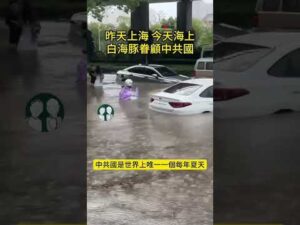 Shanghai Underwater! Massive Flooding Devastates the City I China Insights