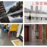 Shanghai Hit by Heaviest Rainfall in 150 Years as Typhoon Dolphin Batters Eastern China
