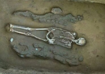 A symbol of harmony: Chinese scientists discover earliest dragon-phoenix pairing in ancient tomb