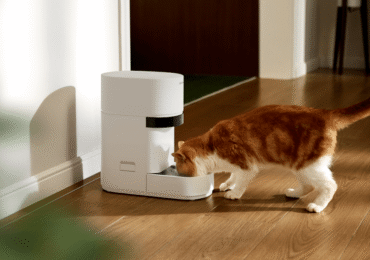 Petlibro’s new AI-powered feeder is a game changer for multi-cat homes