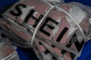 Shein Shares Sink 21.5 Percent in First Week as US Business Slows
