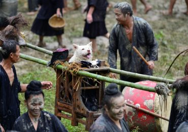 Why China’s heritage-listed Dog-Carrying Festival honours canines as sacred lifesavers