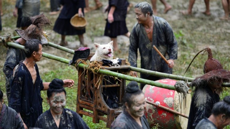 Why China’s heritage-listed Dog-Carrying Festival honours canines as sacred lifesavers