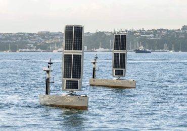 Bluebottle “satellites of the sea” traverse world oceans