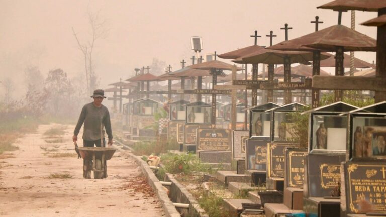 Smart economics: tackle climate change and air pollution together