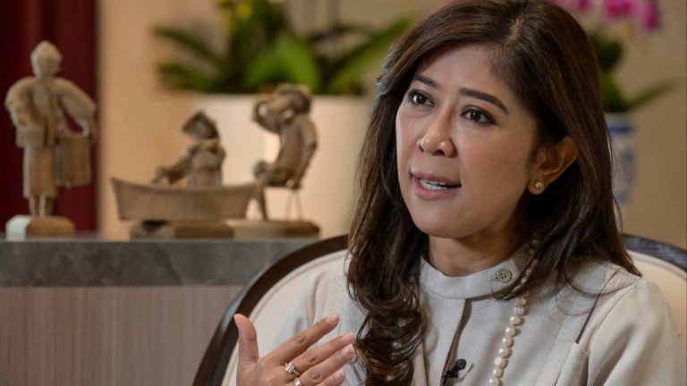 ‘Singapore also at risk’: Indonesian minister urges calm over internet cable jab